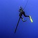 BucketList + Go Spearfishing = ✓