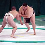 BucketList + Complete The Sumo Run = ✓