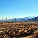 BucketList + See The Desert = ✓