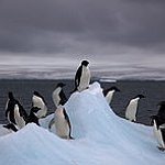 BucketList + Go To Antarctica = ✓