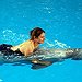 BucketList + Swim With Dolphins, Cancun = ✓