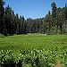 BucketList + Visit Sequoia National Park = ✓