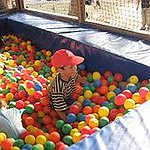 BucketList + Fill A Room With Ball ... = ✓