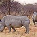 BucketList + Go On An African Safari = ✓