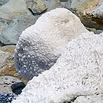 BucketList + Go To The Salt Cave ... = ✓