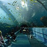 BucketList + Naar Een Aquarium = ✓