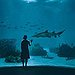 BucketList + Go To All Aquariums I ... = ✓