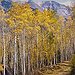 BucketList + Rave Run: Telluride, Colorado = ✓