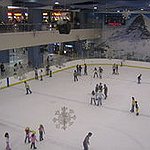 BucketList + Go Ice Skating With My ... = ✓