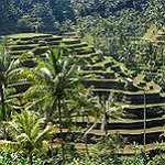 BucketList + Island Hop In Indonesia = ✓