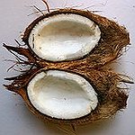BucketList + Drink Out Of A Coconut = ✓