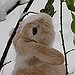 BucketList + Adopt A Rabbit = ✓