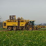 BucketList + Harvest Something = ✓