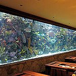 BucketList + Go To An Aquarium = ✓