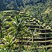 BucketList + Live In Bali For 1 ... = ✓