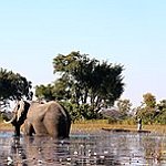 BucketList + Visit The Okavango Delta = ✓