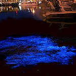 BucketList + Sea Sparkle In Tasmania = ✓