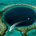 BucketList + Dive In The Blue Hole. = ✓