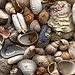 BucketList + Collect Sea Shells On The ... = ✓