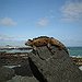 BucketList + Visit The Galapagos Islands, Ecuador. = ✓