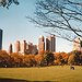BucketList + Have Coffee In Central Park = ✓