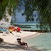 BucketList + Grand Cayman = ✓