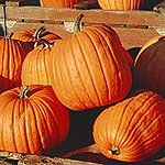 BucketList + Carve A Pumpkin = ✓