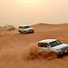 BucketList + Go On A Desert Safari = ✓