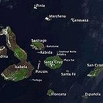 BucketList + See A Turtle On The ... = ✓