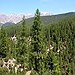 BucketList + Climb A Tall Tree = ✓