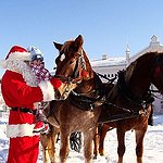 BucketList + Ride A Horse-Drawn Sleigh In ... = ✓