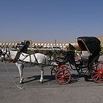 BucketList + Visit The Amish = ✓