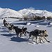 BucketList + Dogsledding In Alaska = ✓