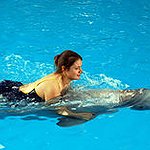 BucketList + Swim With Dolphins In Florida = ✓