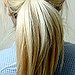 BucketList + Put Hair In A Pony. = ✓