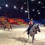 BucketList + Go To Medieval Times = ✓