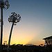 BucketList + Go To Coachella = ✓