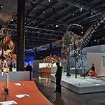 BucketList + The Houston Museum Of Natural ... = ✓