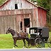 BucketList + Visit An Amish Village = ✓