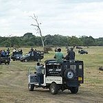 BucketList + Go On A Safari Drive ... = ✓