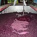 BucketList + Learn More About Red Wine = ✓