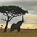 BucketList + See Wild Animals On The ... = ✓