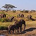 BucketList + (Foto)Reis Naar De Serengeti, Tanzania = ✓