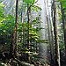 BucketList + Visit A Florest In Seatle = ✓