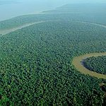 BucketList + Backpack Tropical Rainforest = ✓