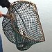 BucketList + Learn To Fly Fish (Well) = ✓