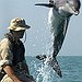 BucketList + Play With A Dolphin = ✓