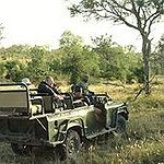 BucketList + Go On A Wildlife Safari ... = ✓