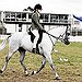 BucketList + Be An Expertin Horse Back ... = ✓