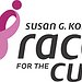 BucketList + The Susan G. Komen 3-Day = ✓